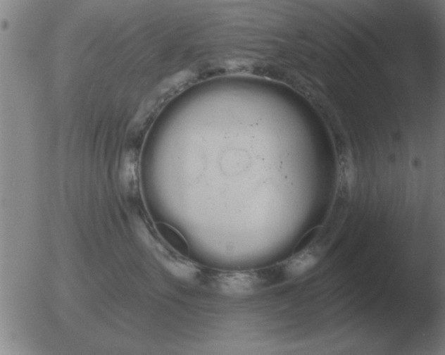 X0000051920527200507082058