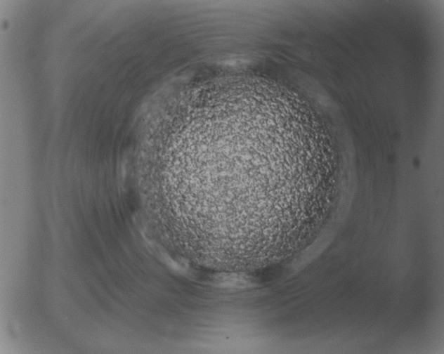 X0000051920528200507082058