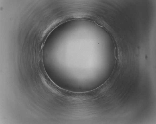 X0000051920530200507082057