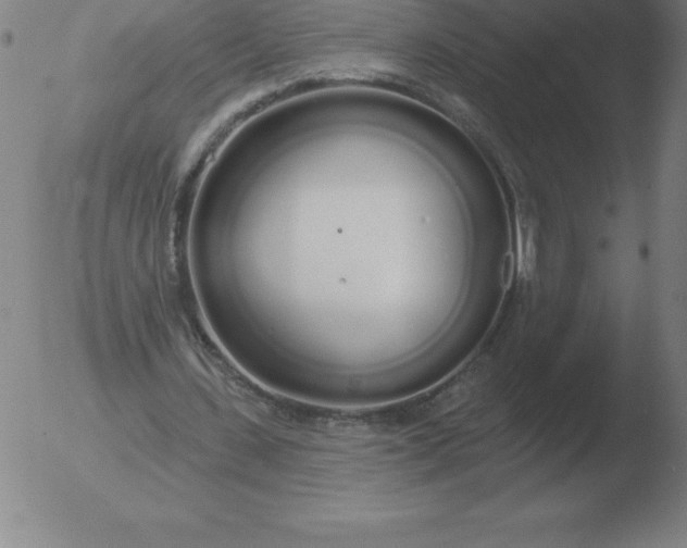 X0000051920531200507082057