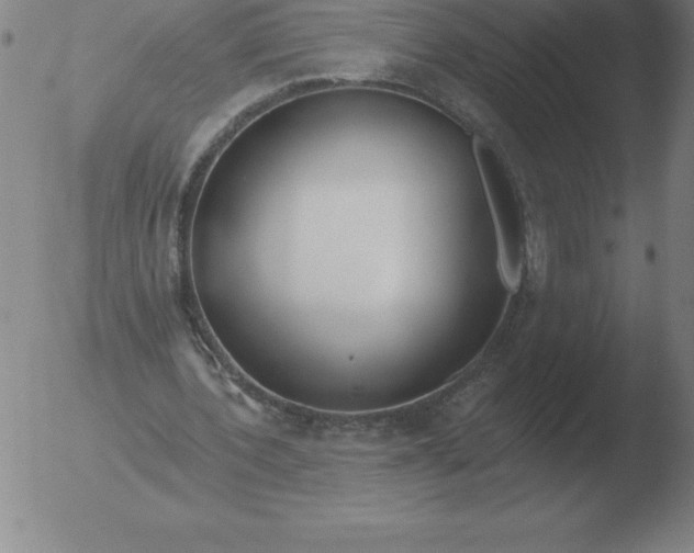 X0000051920532200507082057