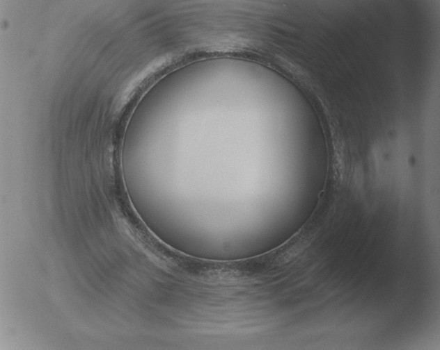 X0000051920535200507082057