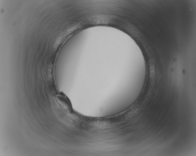 X0000051920537200507082057