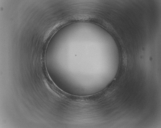 X0000051920538200507082057