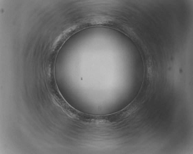 X0000051920539200507082057