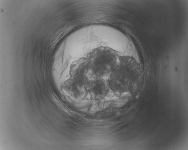 X0000051920541200507082057