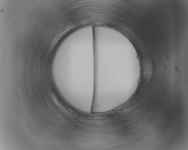 X0000051920542200507082057