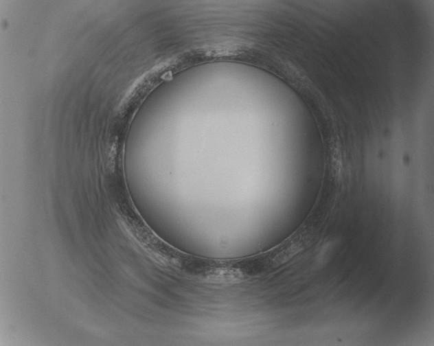 X0000051920543200507082057