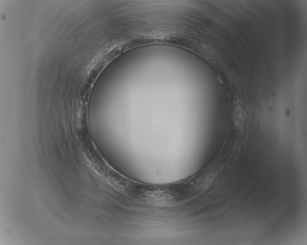 X0000051920544200507082057