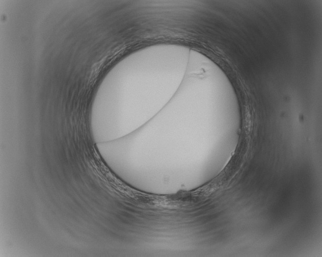 X0000051920545200507082057