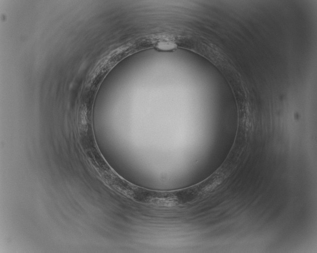 X0000051920548200507082057