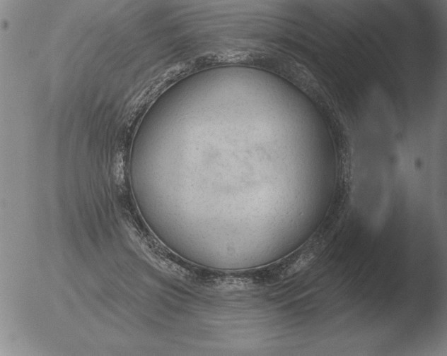 X0000051920549200507082057