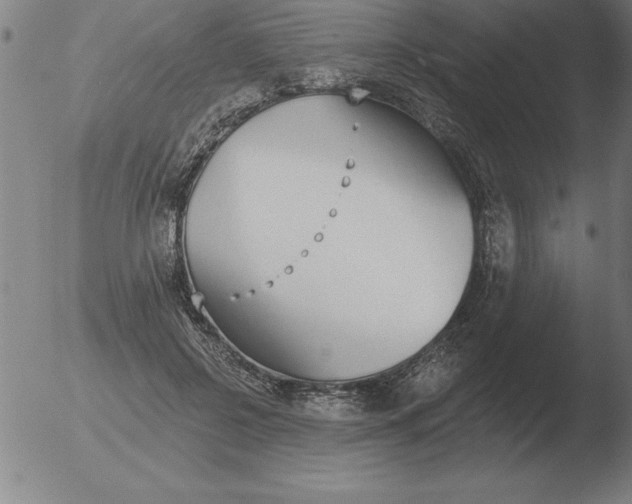 X0000051920550200507082057