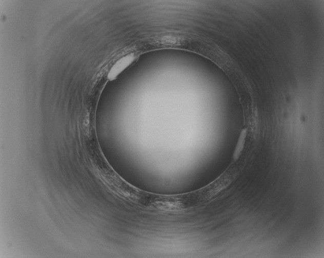 X0000051920552200507082058