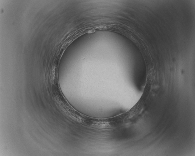 X0000051920554200507082058