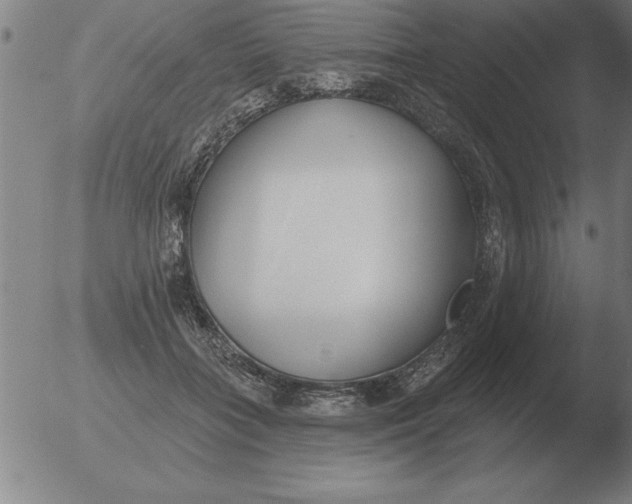 X0000051920555200507082058