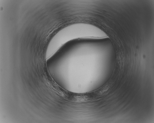 X0000051920556200507082058