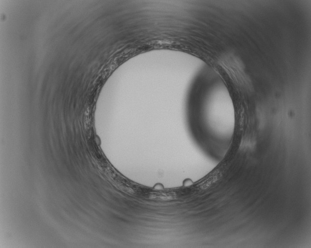 X0000051920559200507082058