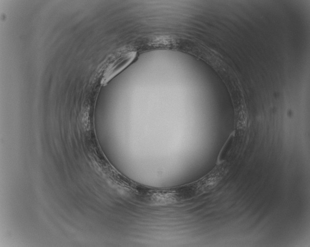 X0000051920560200507082058