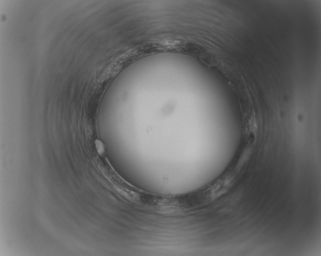 X0000051920562200507082058