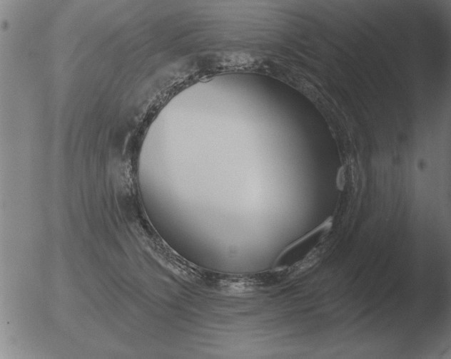 X0000051920564200507082058