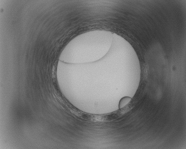 X0000051920565200507082058