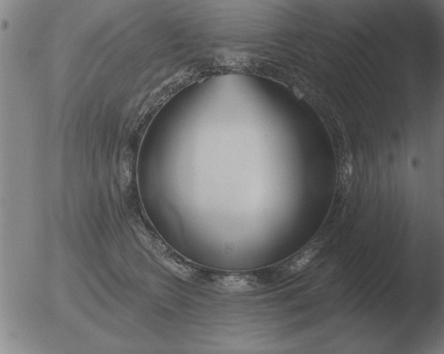 X0000051920566200507082058