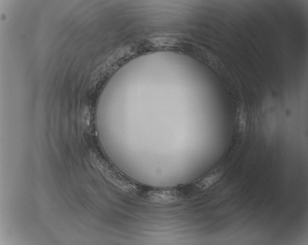 X0000051920567200507082058