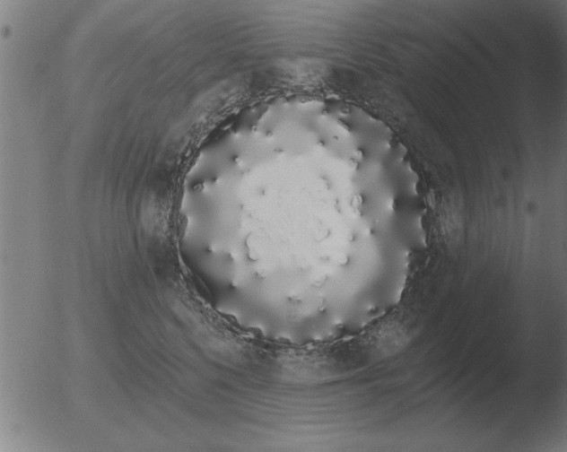 X0000051920568200507082058