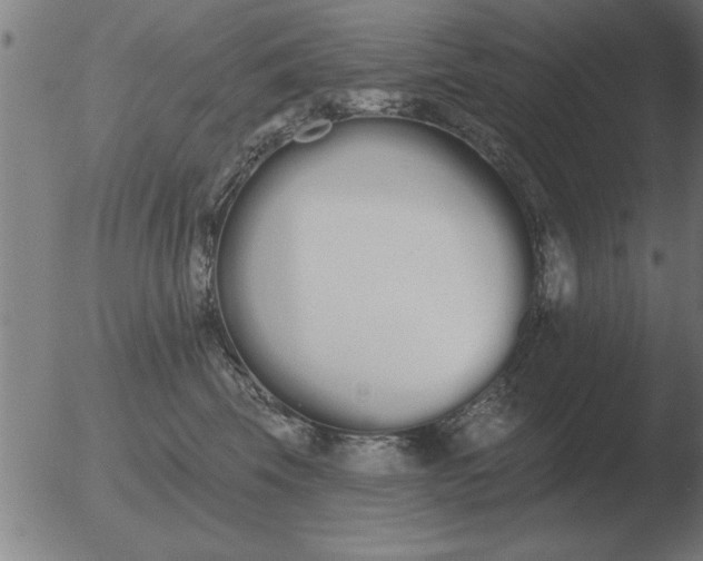 X0000051920569200507082058