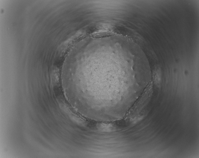 X0000051920570200507082058