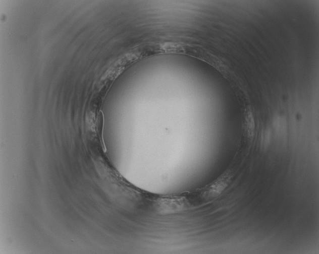 X0000051920571200507082058