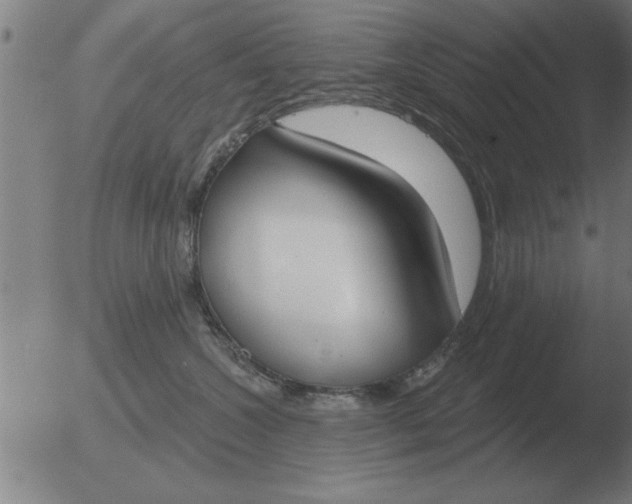 X0000051920572200507082058