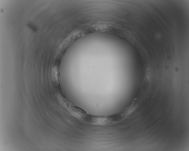 X0000051920575200507082058