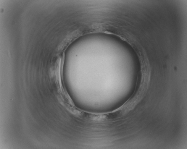 X0000051920576200507082058