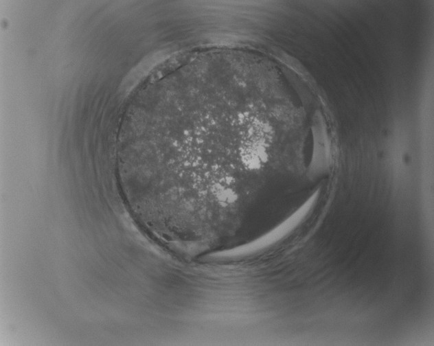 X0000051920577200507082057