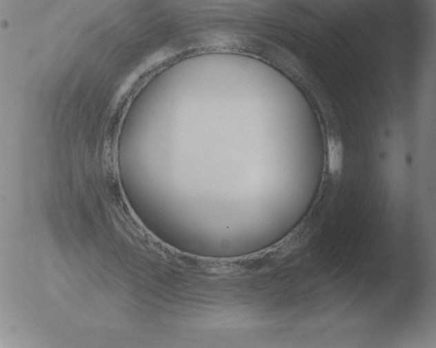 X0000051920579200507082057