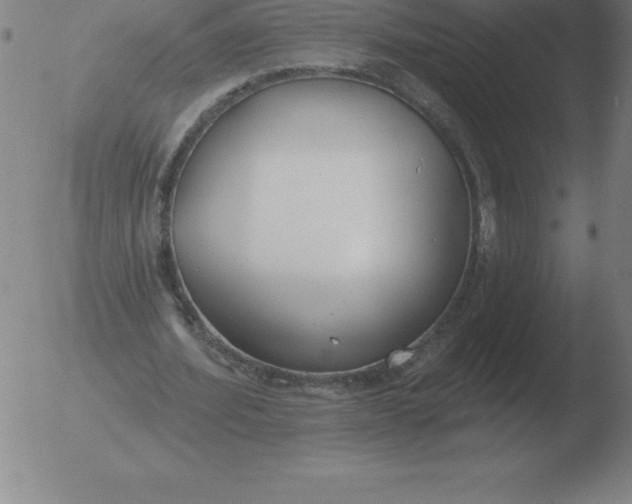 X0000051920580200507082057