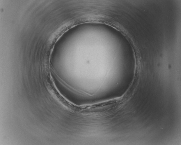 X0000051920581200507082057