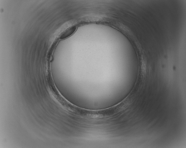 X0000051920582200507082057