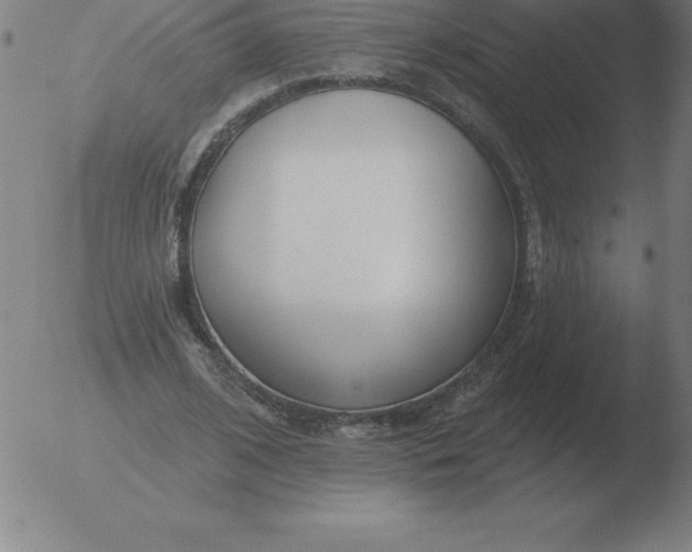 X0000051920584200507082057