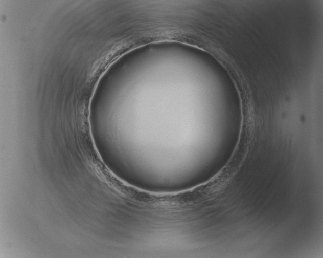 X0000051920585200507082057