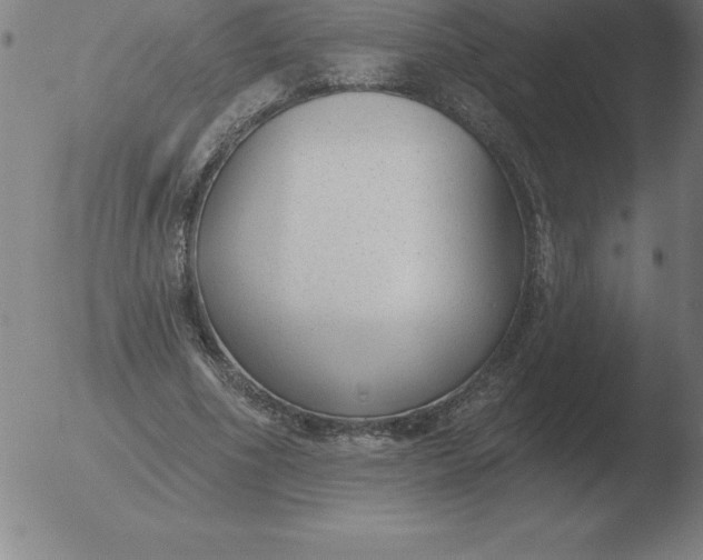 X0000051920586200507082057