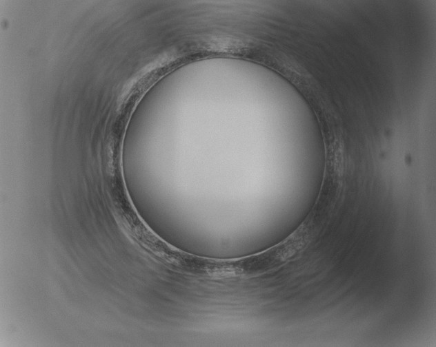 X0000051920587200507082057