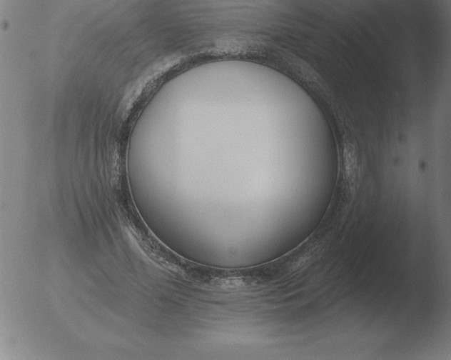 X0000051920588200507082057