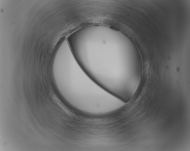 X0000051920589200507082057