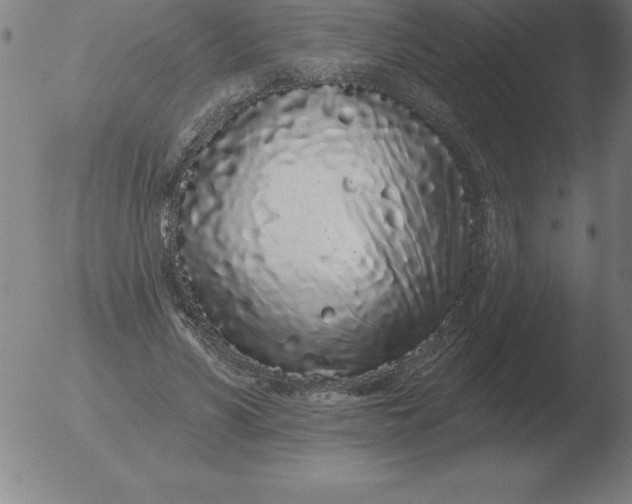 X0000051920590200507082057