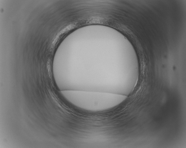 X0000051920591200507082057