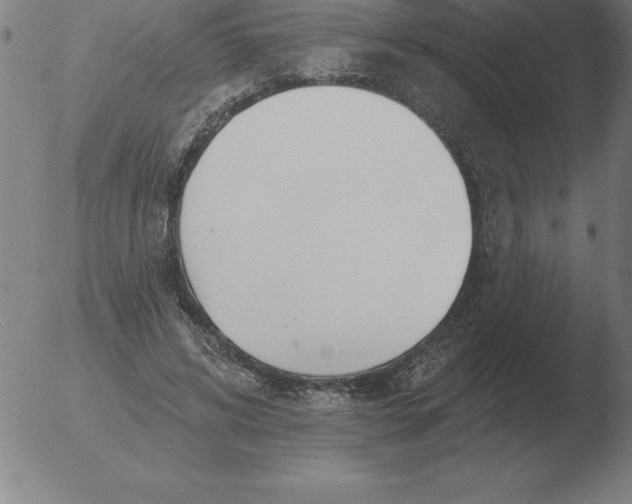 X0000051920592200507082057