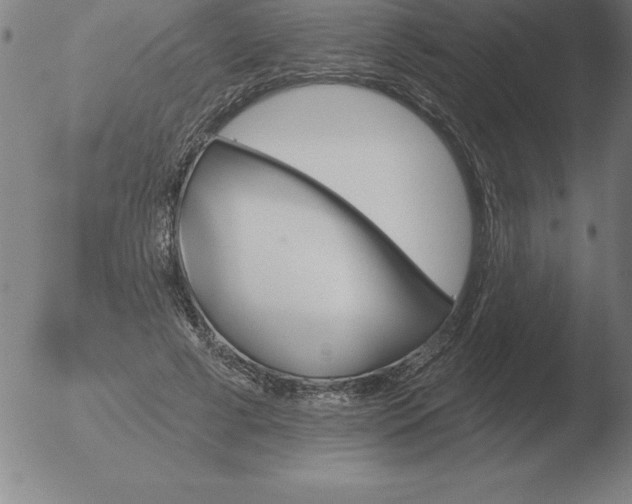 X0000051920593200507082057